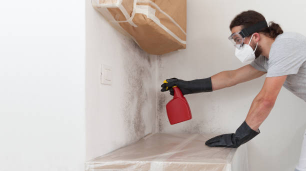 Professional Crawl Space Mold Remediation technician working in Madison, NC