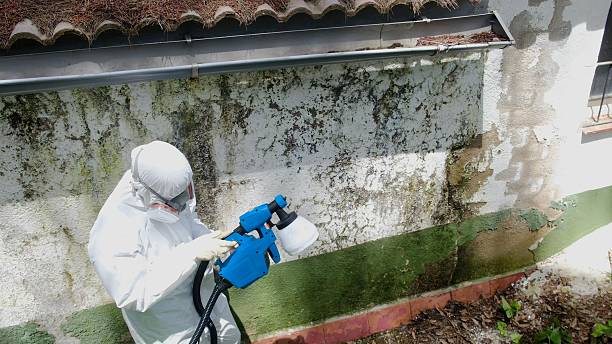Top rated local Crawl Space Mold Remediation specialists in Madison, NC